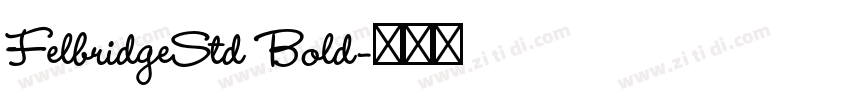 FelbridgeStd Bold字体转换